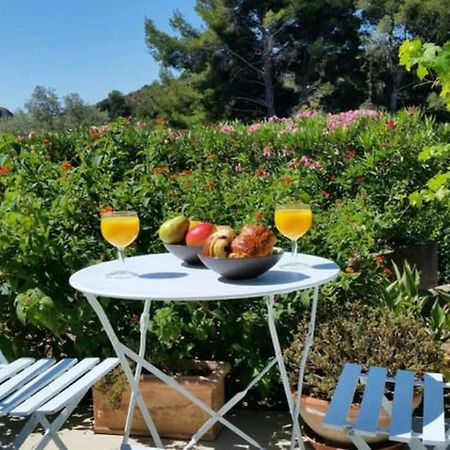 Incredible Apartment Near The Sea And Calanque La Ciotat Eksteriør billede